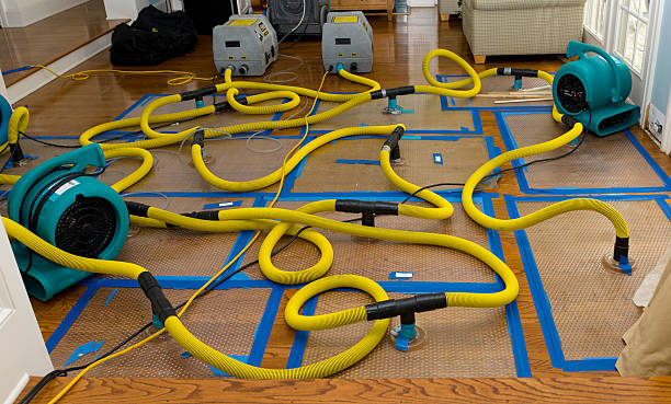 Professional Crawl Space Water Removal technician working in Marion, AR